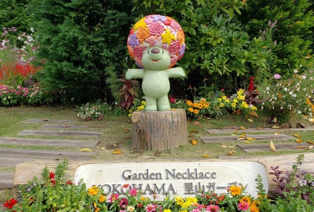 秋の里山ガーデンフェスタ2025｜夕焼け色の丘で秋の花に囲まれる