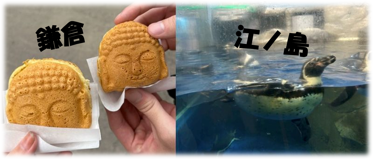 ぶらり旅レポ 癒しの江ノ島水族館＆ほっこり大仏さま焼き編 | スタッフ